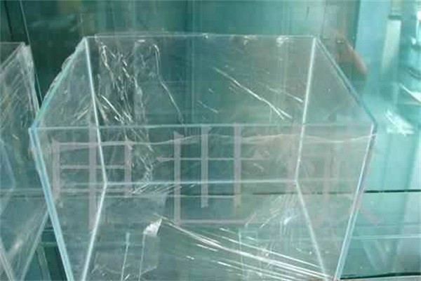 甘肅91视频免费版下载 甘肅91视频免费版下载