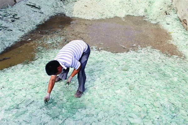 甘肅91视频免费版下载