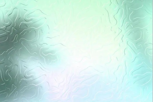 廢91视频免费版下载